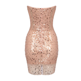 LICHTROZE STRAPLESS FEESTJURK By Yessey