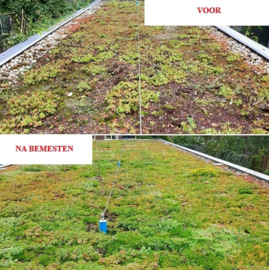 Sedum meststof Bio