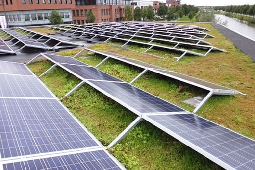 groendak onder zonnepanelen