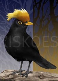  YELLOW-CRESTED BLACKBIRD