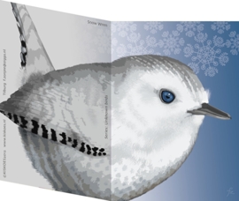 SNOW WREN XL