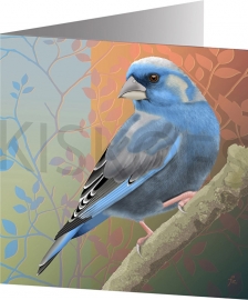 BLUEFINCH