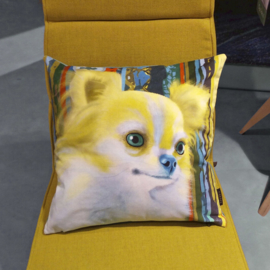 Yellow-aqua velvet cushion cover Dog BLONDIE