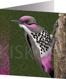 PINK CHEEK WOODPECKER