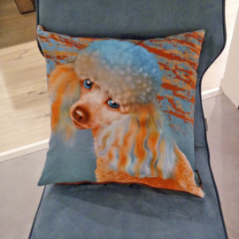 Housse coussin velours Orange-bleue Chien LADY