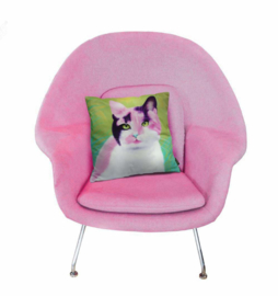 Housse coussin chat velours Rose-Verte MAYSA