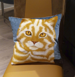 Mocca cream velvet cushion cover Cat MACCHIATO