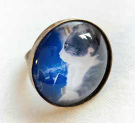 Anello cabochon gatto MUSING...