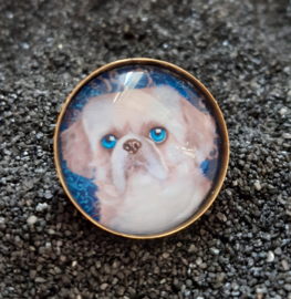 Cabochon ring dog SHIZI