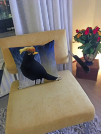Bird cushion cover cotton or velvet CRESTED BLACKBIRD
