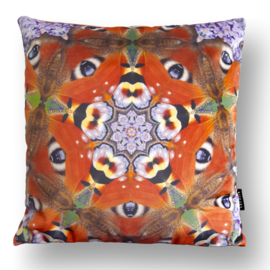 Cushion cover velvet PEACOCK BUTTERFLY