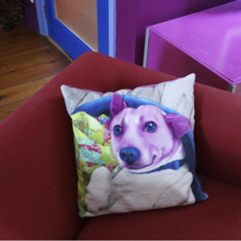 Housse coussin velours Violette Chien FAFFIE