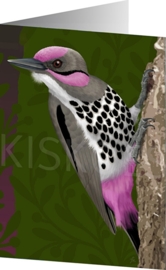 PINK CHEEK WOODPECKER