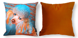 Housse coussin velours Orange-bleue Chien LADY