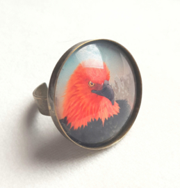 Cabochon ring bird FIRE EAGLE