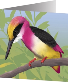 TEA ROSE KINGFISHER