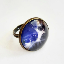 Anello cabochon gatto MUSING...