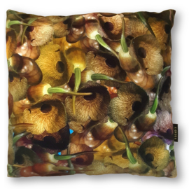 Housse Coussin velours Brun PLANTE DE SAXOPHONE