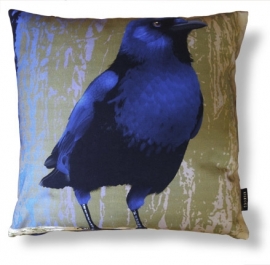 Bird cushion cover cotton or velvet BLUE-BELLIED CROW