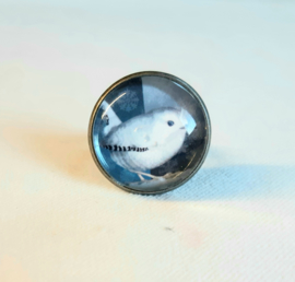 Anello cabochon ucello RE DE NEVE