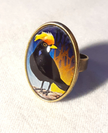 Cabochon ring bird YELLOW-CRESTED BLACKBIRD