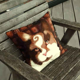 Housse coussin chat velours Brune PRINCE CHOCO 