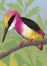 TEA ROSE KINGFISHER