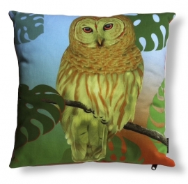 Housse coussin Oiseau coton ou velours  HIBOU TROPICAL