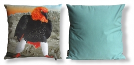 Housse coussin Oiseau coton ou velours  AIGLE DE FEU