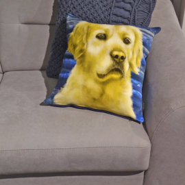 Housse coussin velours Jaune-bleue  Chien BOUCLE D'OR