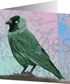 GREEN JACKDAW