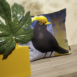 Bird cushion cover cotton or velvet CRESTED BLACKBIRD