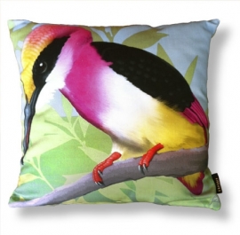 Housse coussin Oiseau coton ou velours MARTIN-PECHEUR ROSE THÉ