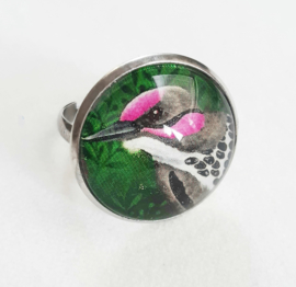 Cabochon ring bird PINK CHEEK WOODPECKER