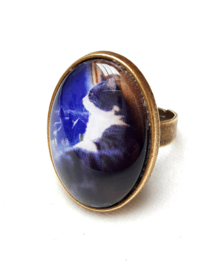 Cabochon ring cat MUSING...