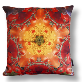 Housse coussin velours TOMATE