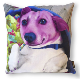 Purple velvet cushion cover Dog FAFFIE