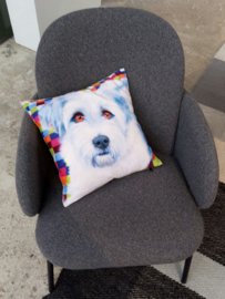 Housse coussin velours Bleue-blanche Chien FRANKIE