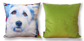 Housse coussin velours Bleue-blanche Chien FRANKIE