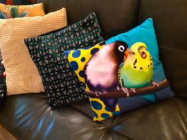 Personalized Throw pillow SPIFFY & AGGY