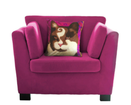Housse coussin chat velours Brune-Violette PRINCE CHOCO 