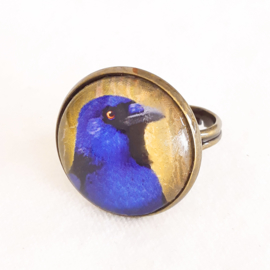 Bague cabochon oiseau CORNEILLE A VENTRE BLEU