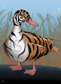 PATO TIGRE