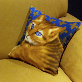  Housse coussin chat velours Bleue-Ocre OEIL BLEU