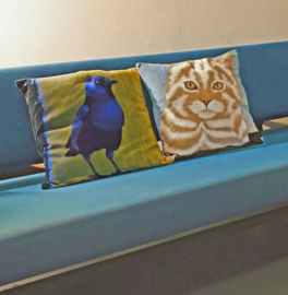 Housse coussin Oiseau coton ou velours  CORNEILLE A VENTRE BLEUE