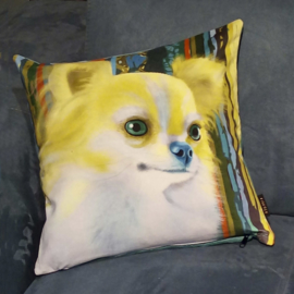 Yellow-aqua velvet cushion cover Dog BLONDIE