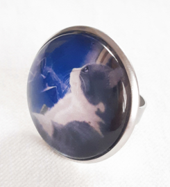 Anello cabochon gatto MUSING...