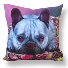 Yellow-blue velvet cushion cover Dog BLEU