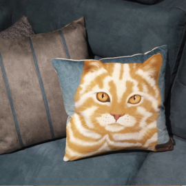 Housse coussin chat velours Mocca-Crème MACCHIATO  