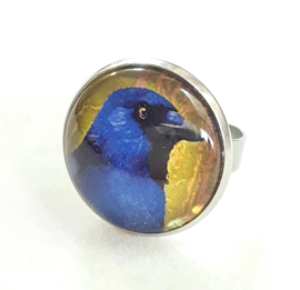 Bague cabochon oiseau CORNEILLE A VENTRE BLEU